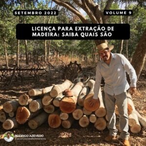 Licença para extração de madeira: Saiba quais são