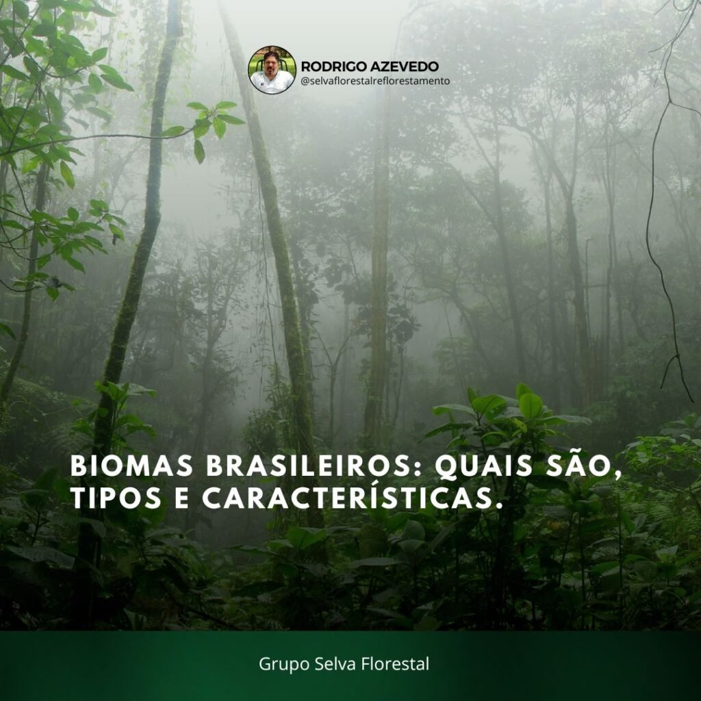 Biomas Brasileiros Quais São Tipos E Características Confira 2909