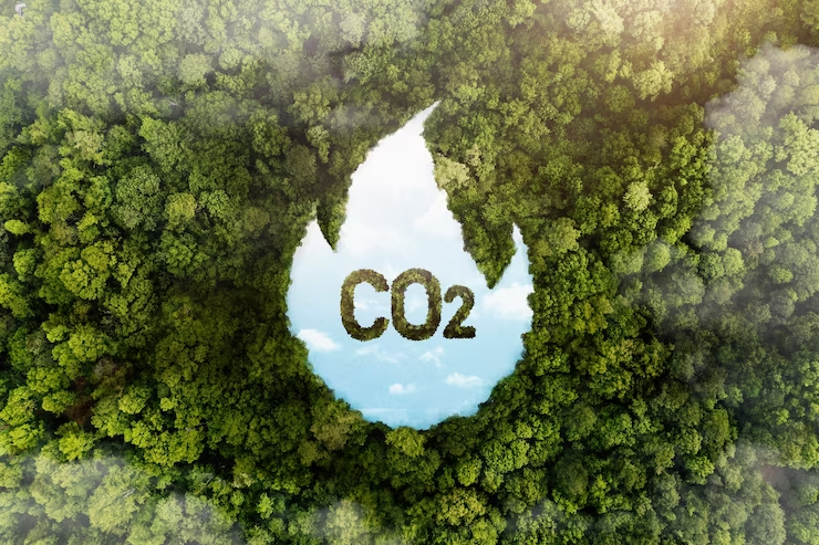 Crédito de carbono: Como funciona? Quem gera? Como implementar? |