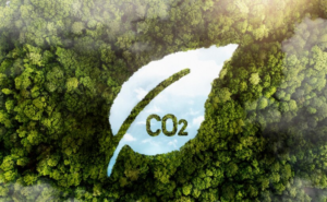 Saiba 5 formas de emitir créditos de carbono para a sua empresa. | Foto: Freepik.