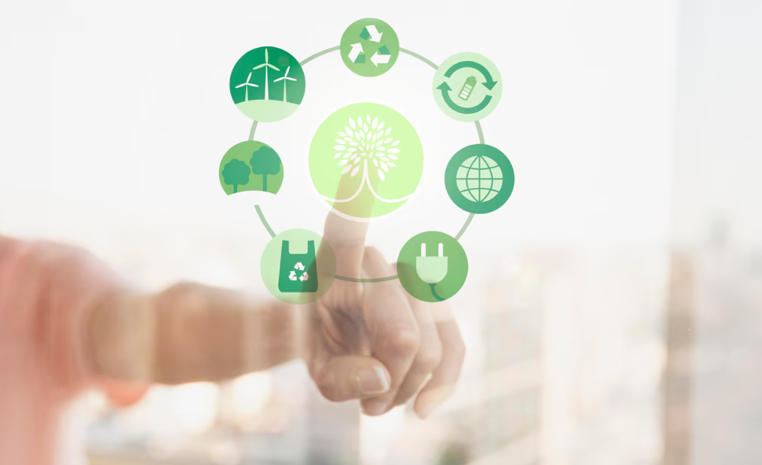 Descubra como o Selva Florestal utiliza créditos de carbono com Mogno Africano em modelos de negócio sustentáveis.