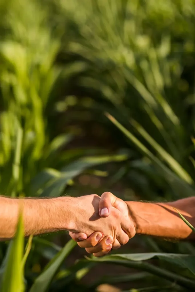 CPR Verde: entenda o que é essa cédula para o produto rural verde. | Foto: Freepik.