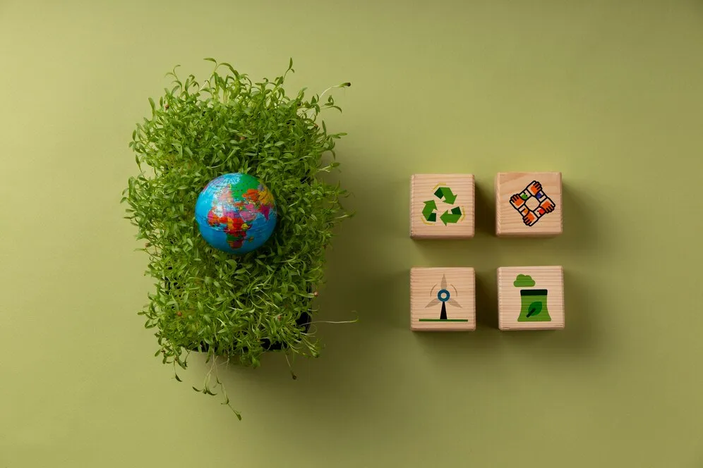 Crédito de carbono: veja esse guia prático para pequenos produtores. | Foto: Freepik.