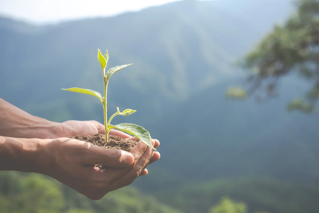 CPR Verde: Saiba tudo e mais um pouco sobre a nova regeneração sustentável. | Foto: Freepik.