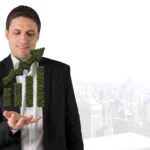 créditos-de-carbono-oportunidades-para-pequenos-e-médios-produtores