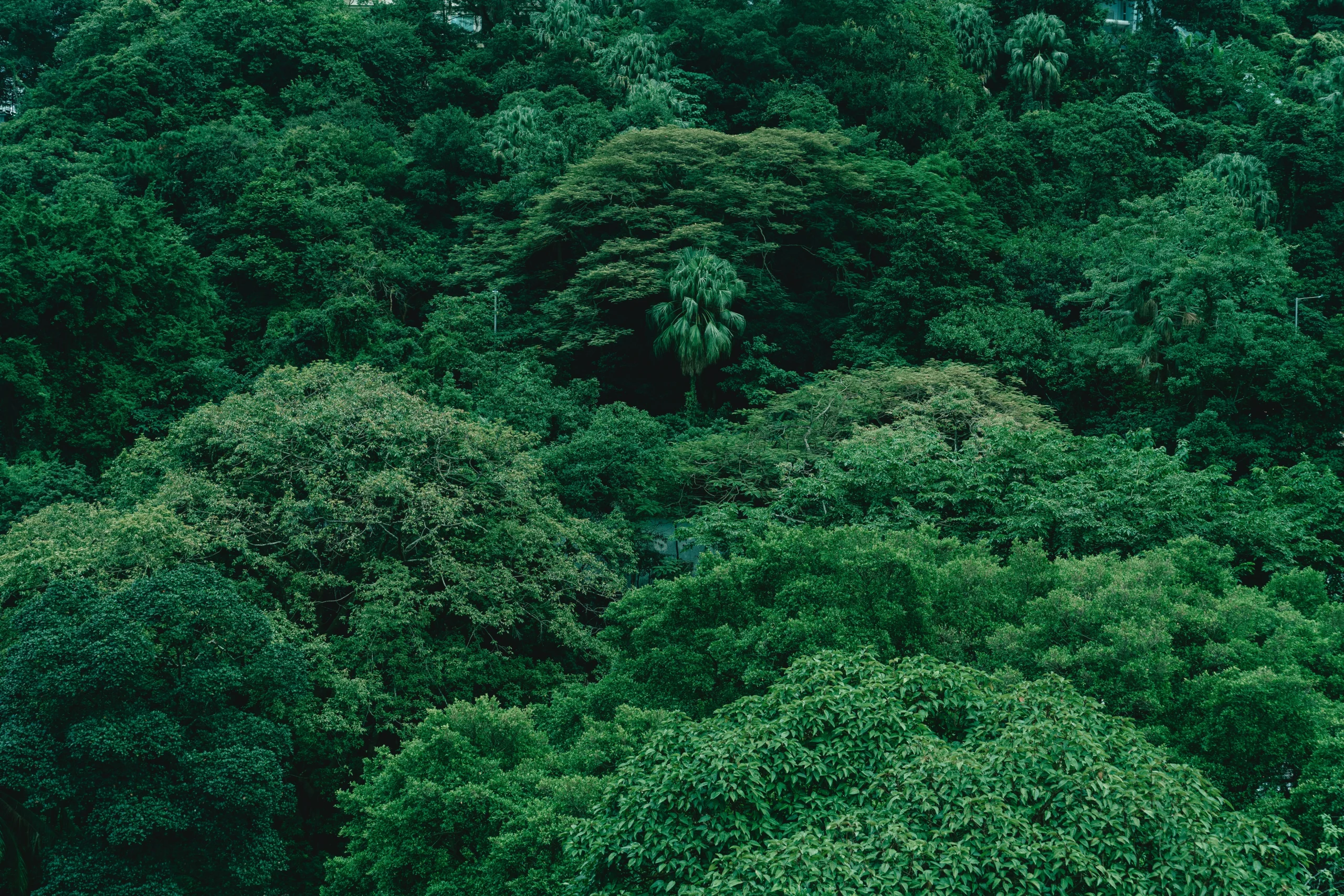 herança-verde-educação-financeira-e-ambiental-para-herdeiros