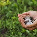 A CPR Verde é responsável por redefinir o financiamento do agronegócio.