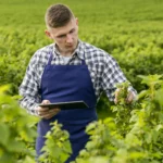 O Mogno Africano pode ser um investimento verde que representa um pilar para a diversificação do agronegócio.