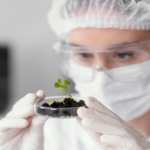 Solos brasileiros: Técnicas de Biofertilização para Aumentar a Produtividade e Sustentabilidade do Mogno Africano.