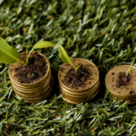 Investimento verde: O Papel dos Ativos Florestais de Mogno Africano na Construção de Portfólios Resilientes