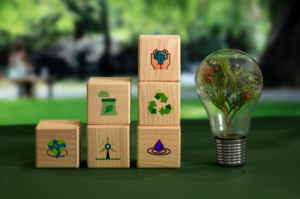 Crédito de Carbono: Fortalecendo Comunidades Rurais Através do Reflorestamento Sustentável