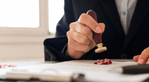 Saiba como o ESG: e a certificação florestal elevam a Selva Florestal, valorizando a marca e construindo credibilidade no mercado sustentável.