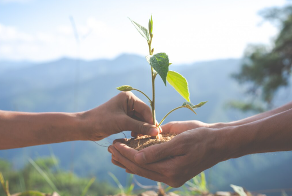 Sustentabilidade empresarial.