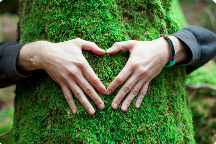 Aprenda tudo sobre a CPR Verde: o guia definitivo para acessar financiamento verde, alavancar projetos florestais sustentáveis e promover a conservação ambiental.