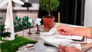 Construa um portfólio resiliente com investimento verde em Ativos Florestais. Descubra como florestas oferecem retornos sólidos e impactam positivamente o planeta.