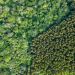 tecnologia e inovação