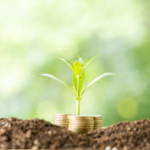 Explore o mundo do crédito de carbono, aprenda a navegar nos mercados globais e garanta rentabilidade com práticas sustentáveis.