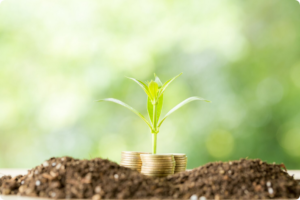 Explore o mundo do crédito de carbono, aprenda a navegar nos mercados globais e garanta rentabilidade com práticas sustentáveis.