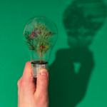 Descubra como a Sustentabilidade empresarial e o mogno africano impulsionam a economia verde, gerando valor e responsabilidade.