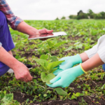 Desvende a CPR Verde e como ela impulsiona o financiamento verde para projetos florestais sustentáveis. Conheça seus benefícios para produtores e investidores.