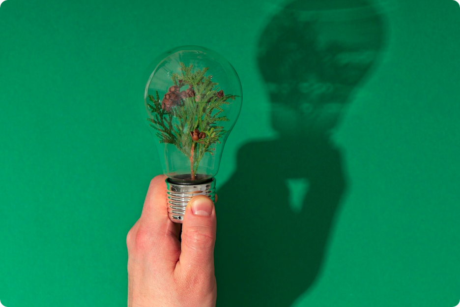 Descubra como a Sustentabilidade empresarial e o mogno africano impulsionam a economia verde, gerando valor e responsabilidade.