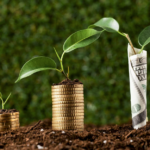 Otimize seu investimento em Mogno Africano com Modelagem Financeira Florestal. Planeje, projete e maximize retornos com estratégias eficientes.