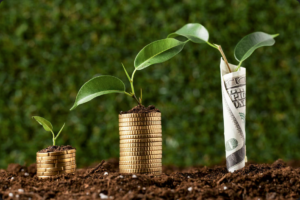 Otimize seu investimento em Mogno Africano com Modelagem Financeira Florestal. Planeje, projete e maximize retornos com estratégias eficientes.