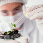 Descubra como a Genética de Precisão Mudas Mogno Africano da Selva Florestal otimiza seu plantio com mudas superiores, mais resistentes e rentáveis para um investimento verde.