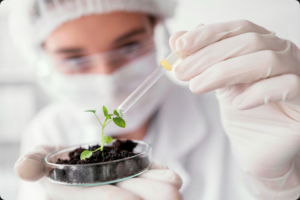 Descubra como a Genética de Precisão Mudas Mogno Africano da Selva Florestal otimiza seu plantio com mudas superiores, mais resistentes e rentáveis para um investimento verde.