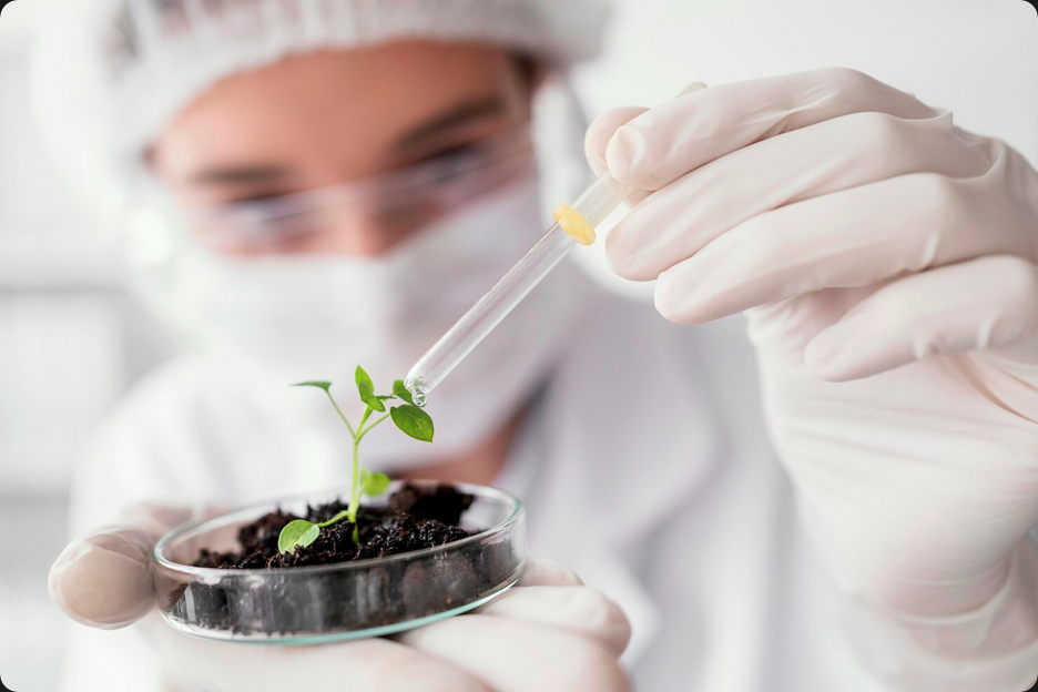 Descubra como a Genética de Precisão Mudas Mogno Africano da Selva Florestal otimiza seu plantio com mudas superiores, mais resistentes e rentáveis para um investimento verde.