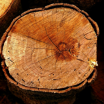 Descubra as Aplicações Inovadoras Mogno Africano em música, design e luxo. Conheça seu potencial sustentável e valor para mercados premium.