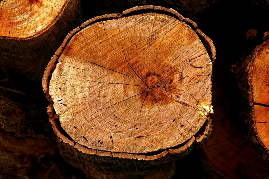 Descubra as Aplicações Inovadoras Mogno Africano em música, design e luxo. Conheça seu potencial sustentável e valor para mercados premium.