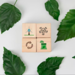 Construa Florestas como Herança Sustentável com Mogno Africano. Um patrimônio rentável e ecológico para futuras gerações. Descubra como a Selva Florestal te guia.