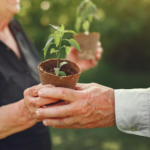 Descubra como Florestas como Herança Sustentável, especialmente com Mogno Africano, criam um legado financeiro, ambiental e social para as gerações futuras.