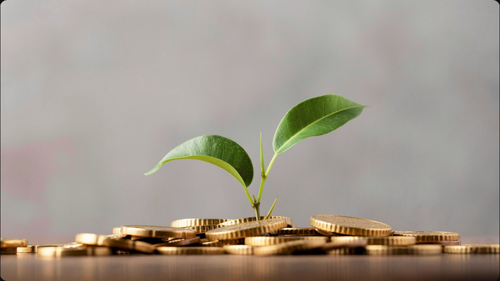 Alcance suas metas de sustentabilidade com uma Parceria ESG Florestal da Selva Florestal. Descubra como o Mogno Africano impulsiona impacto ambiental e retorno estratégico. Fale conosco!