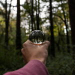 Descubra como o Desenvolvimento Regional Mogno Africano impulsiona economias locais, gera empregos e promove a sustentabilidade com a Selva Florestal.