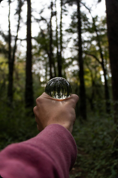 Descubra como o Desenvolvimento Regional Mogno Africano impulsiona economias locais, gera empregos e promove a sustentabilidade com a Selva Florestal.