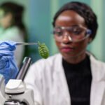Biotecnologia Mogno Africano