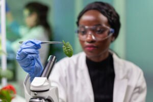 Biotecnologia Mogno Africano