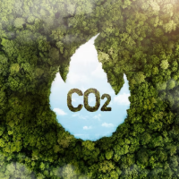Crédito de carbono: Como funciona? Quem gera? Como implementar? |